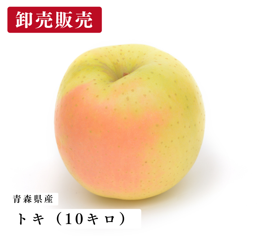 売切】<卸売販売>青森県産りんご飴向け小玉りんご(トキ)販売期間 売切】<卸売販売>青森県産りんご飴向け小玉りんご(トキ)販売期間
