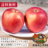 ＜予約受付中〜11月末＞【青森県産りんご・津軽キングダム】 家庭用樹上完熟葉とらサンふじ3キロ（販売時期：12月1日〜12月末））