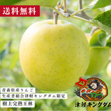 ＜予約受付中〜10月末＞【青森県産りんご・津軽キングダム】 家庭用樹上完熟王林3キロ（販売時期：11月1日〜11月末）