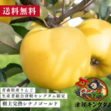 ＜予約受付中〜11月15日＞【青森県産りんご・津軽キングダム】 家庭用樹上完熟シナノゴールド3キロ（販売時期：11月16日〜12月15日）