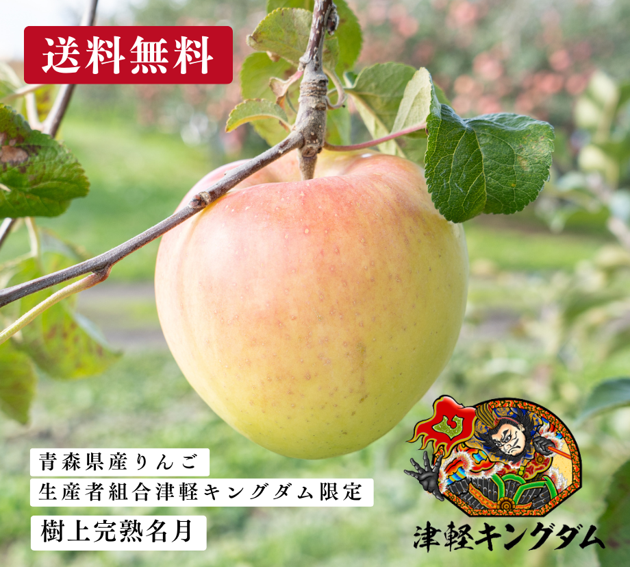 Translation missing: ja.general.accessibility.slide_image