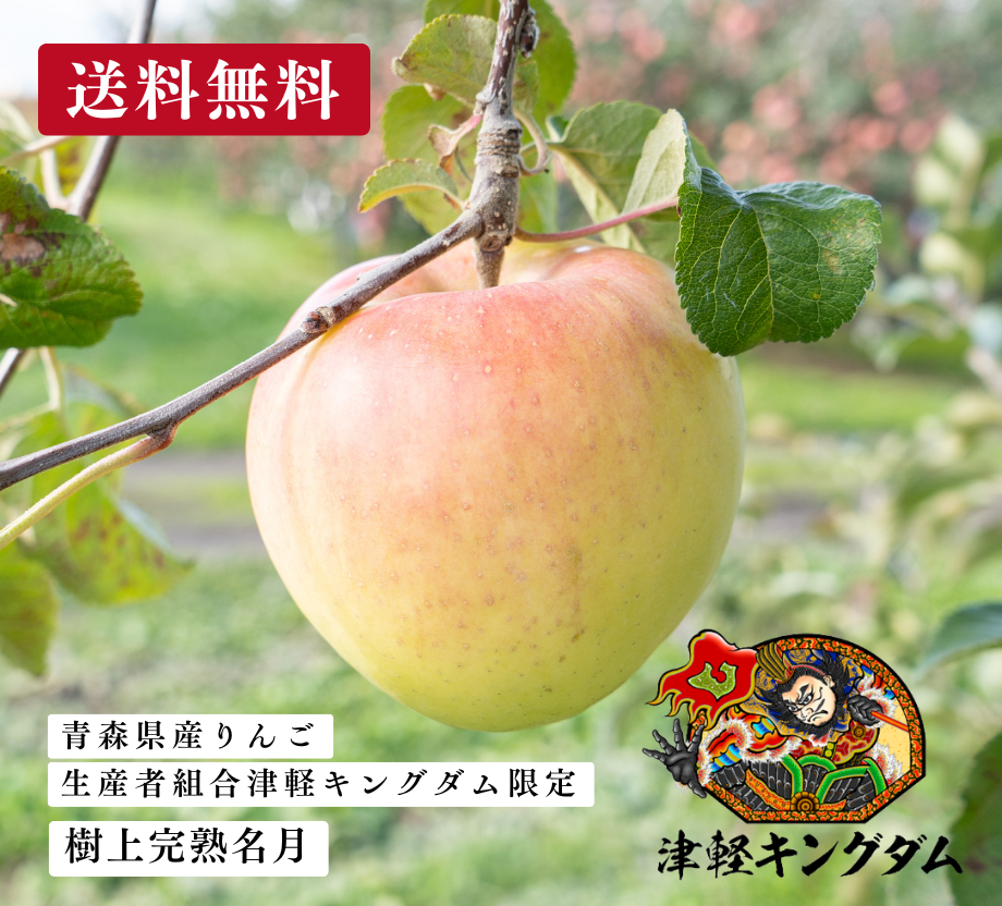 Translation missing: ja.general.accessibility.slide_image